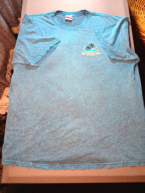 LifeStyles Hanalei Bay Kauai T Shirt Men's XL Blue Embroidered Logo